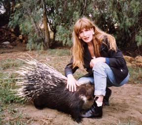 In Kenya with a porcupine
